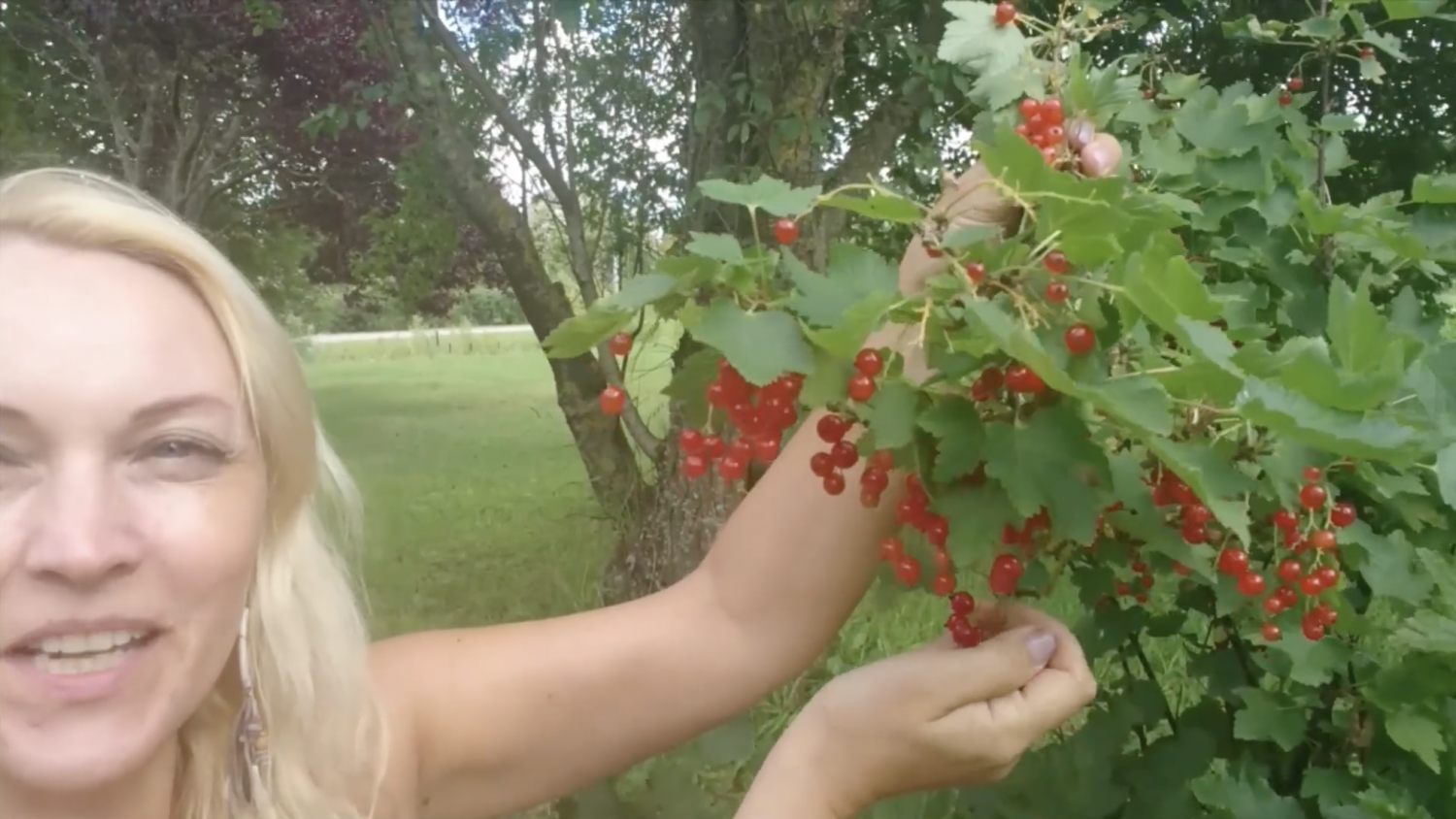 Video attēls