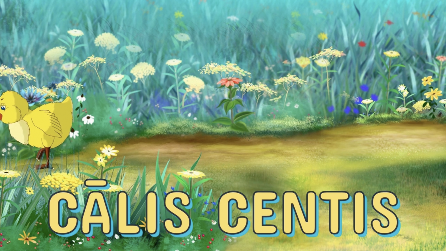 Video attēls