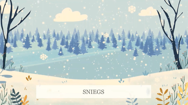 Video attēls