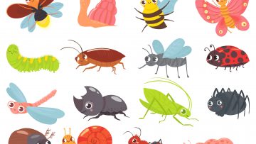 Cartoon bugs. Baby insect, funny happy bug and cute ladybug vector set