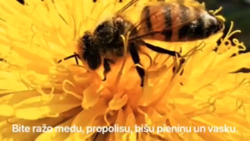 Screenshot_1