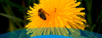 Screenshot_2