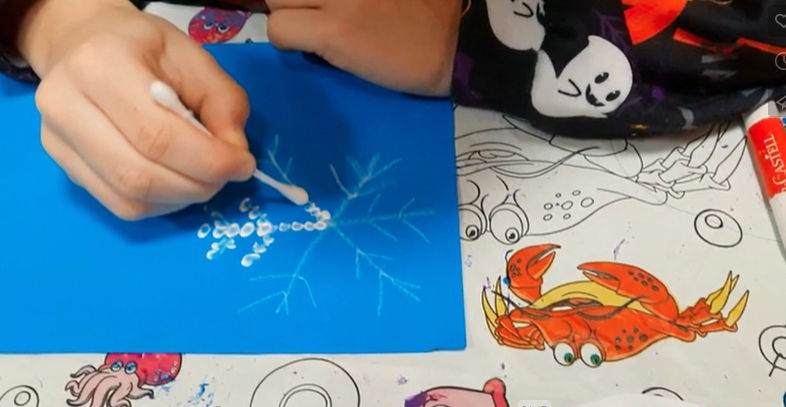 Video attēls