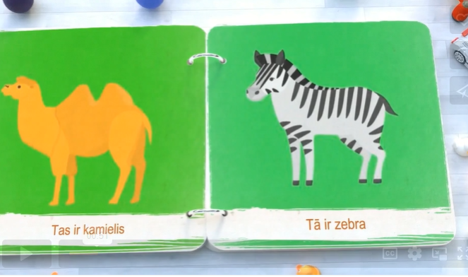 Video attēls