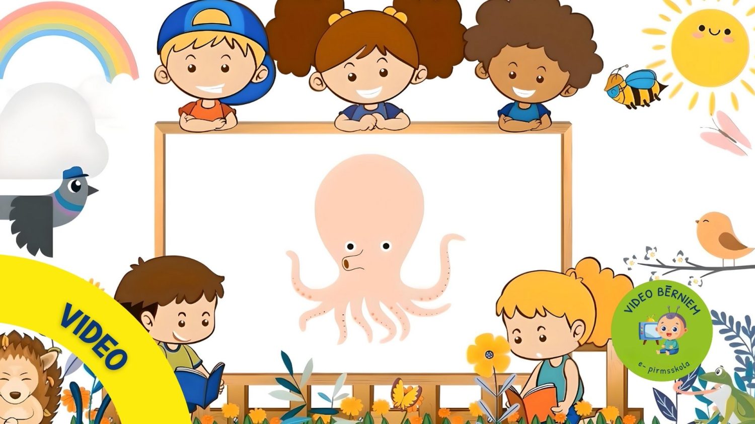 Video attēls