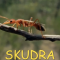 Bērniem 3. vec. posms – Zinības – KĀDI IR KUKAIŅI – video bērniem