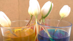fotor_2023-5-1_14_47_21