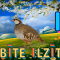 Irbīte Ilzīte l Valoda l Bērniem 2-3 gadi