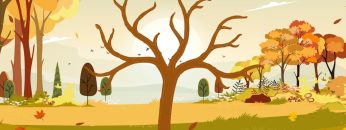 Rudens-lapas_page-0002