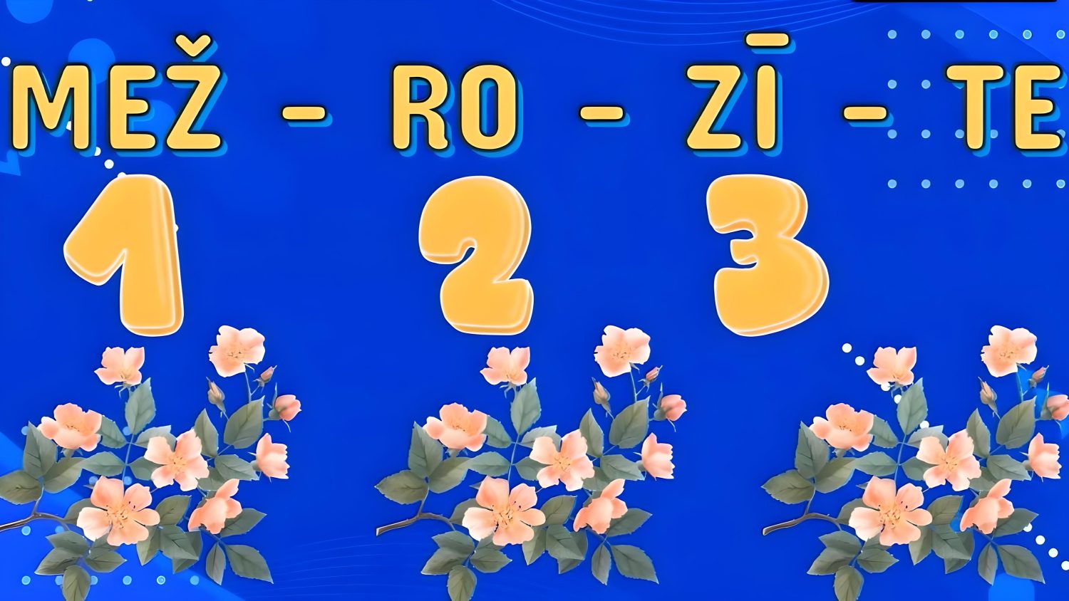 Video attēls