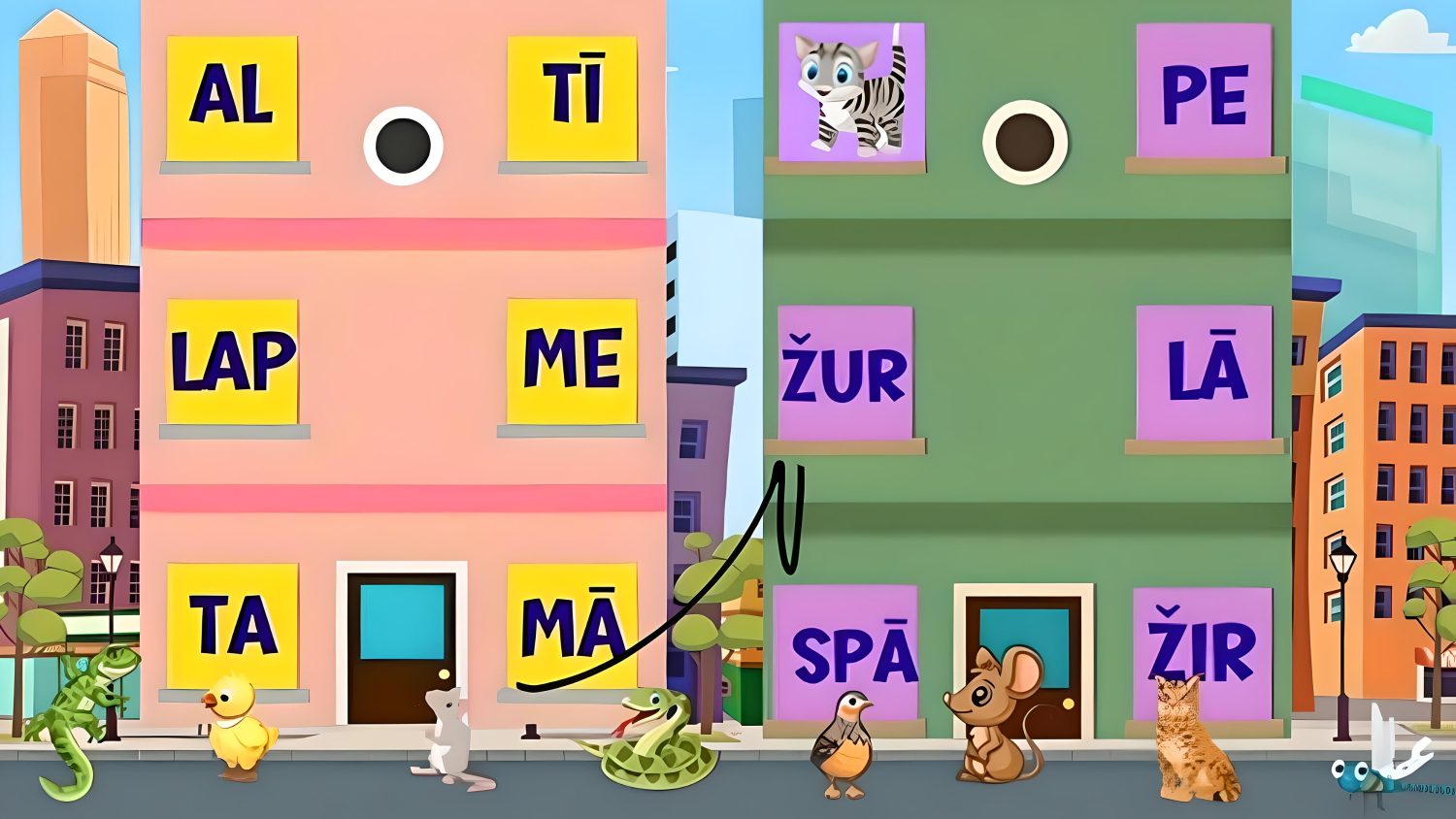 Video attēls
