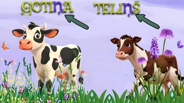 Tveršana-fotor-20240327212852