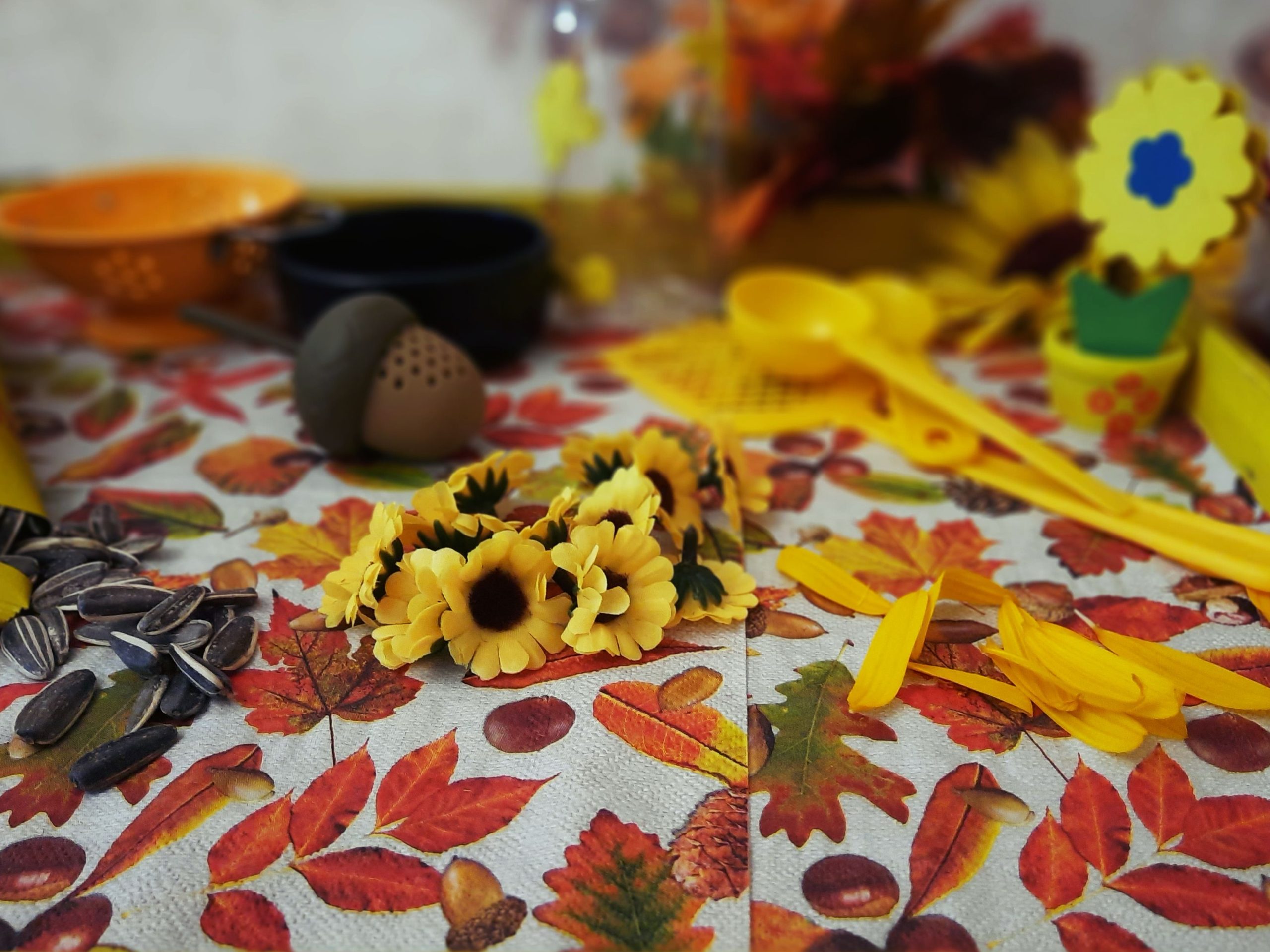 Tematiskais plāns - RUDENS ZIEDI - E-Pirmsskola