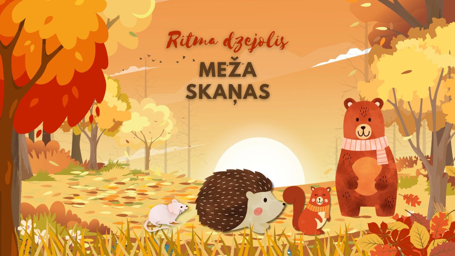 Video attēls