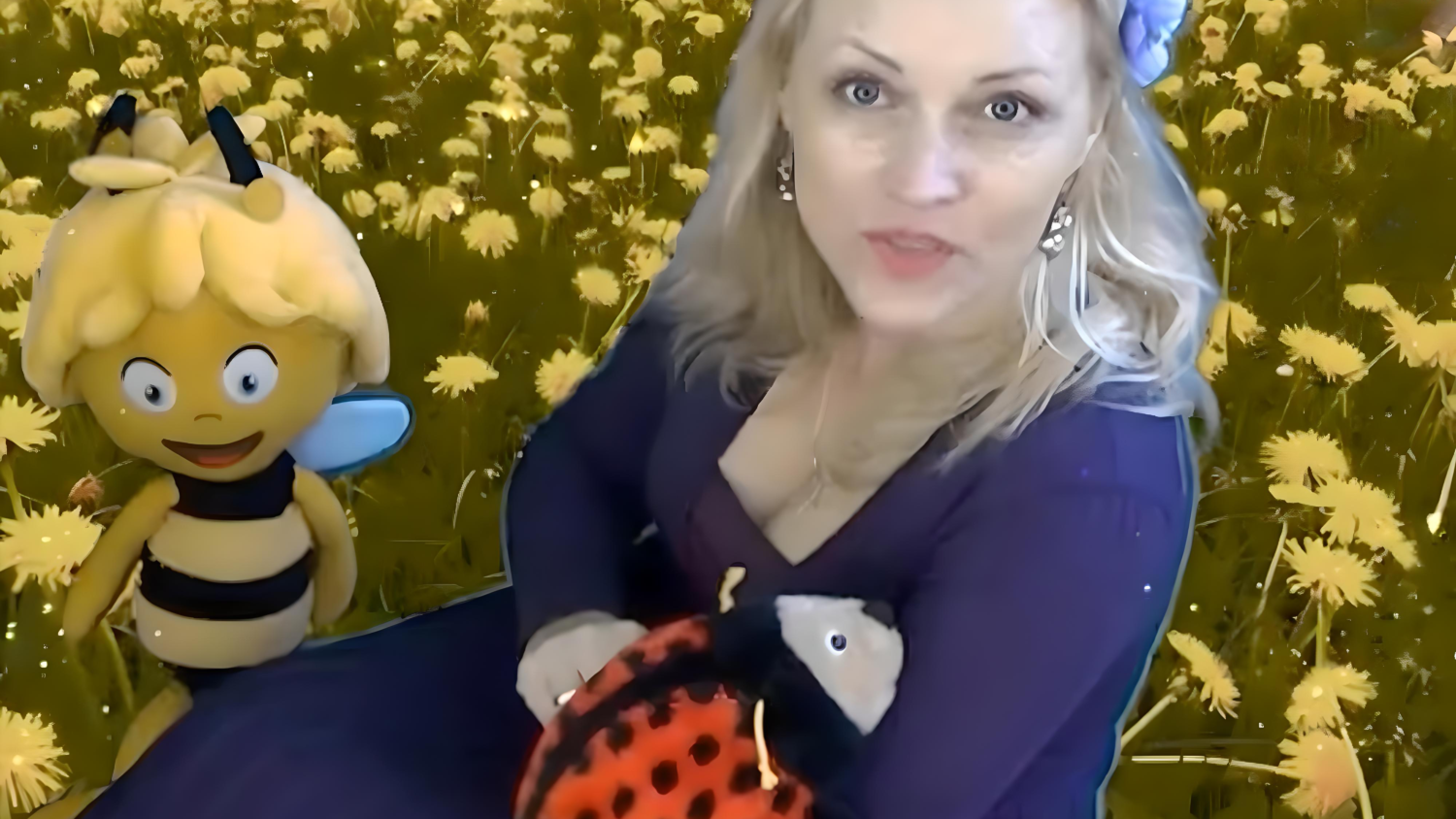 Video attēls