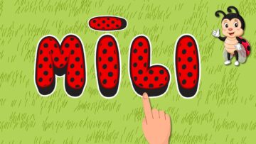 0 m