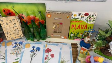 WhatsApp Image 2025-07-05 at 00.31.11 (1)