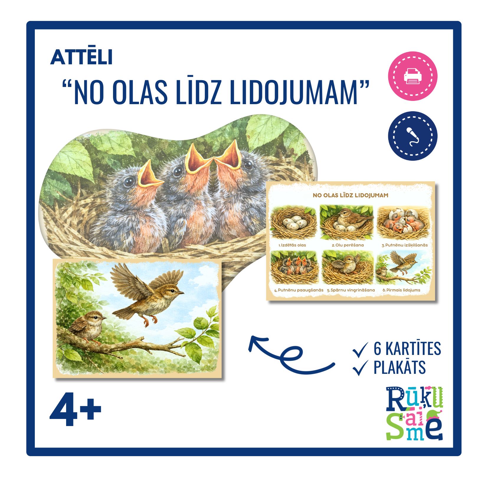 Attēli "NO OLAS LĪDZ LIDOJUMAM"- putni, pavasaris, attīstība