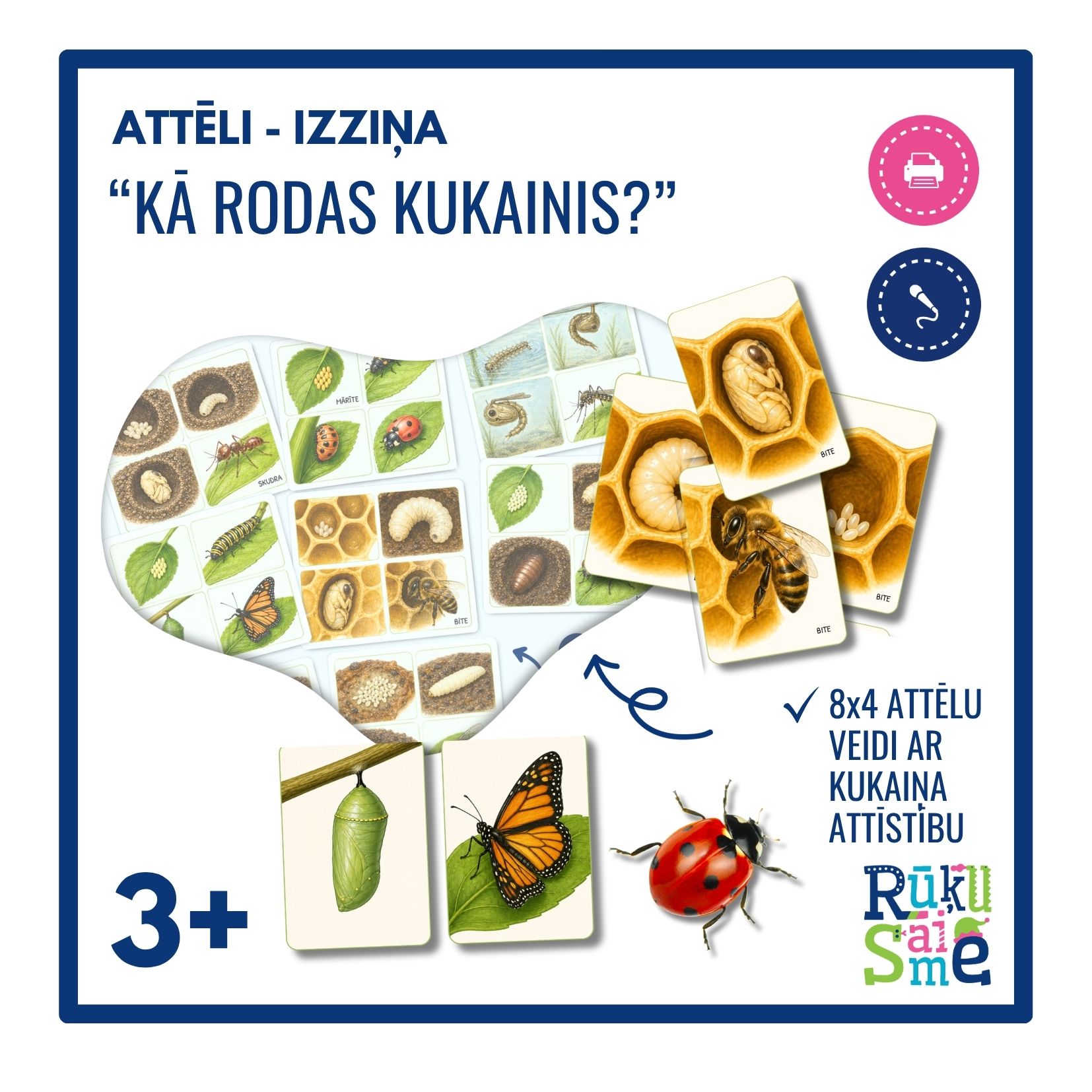 Kā rodas kukainis l Attēli l Bērniem 3-5 gadi