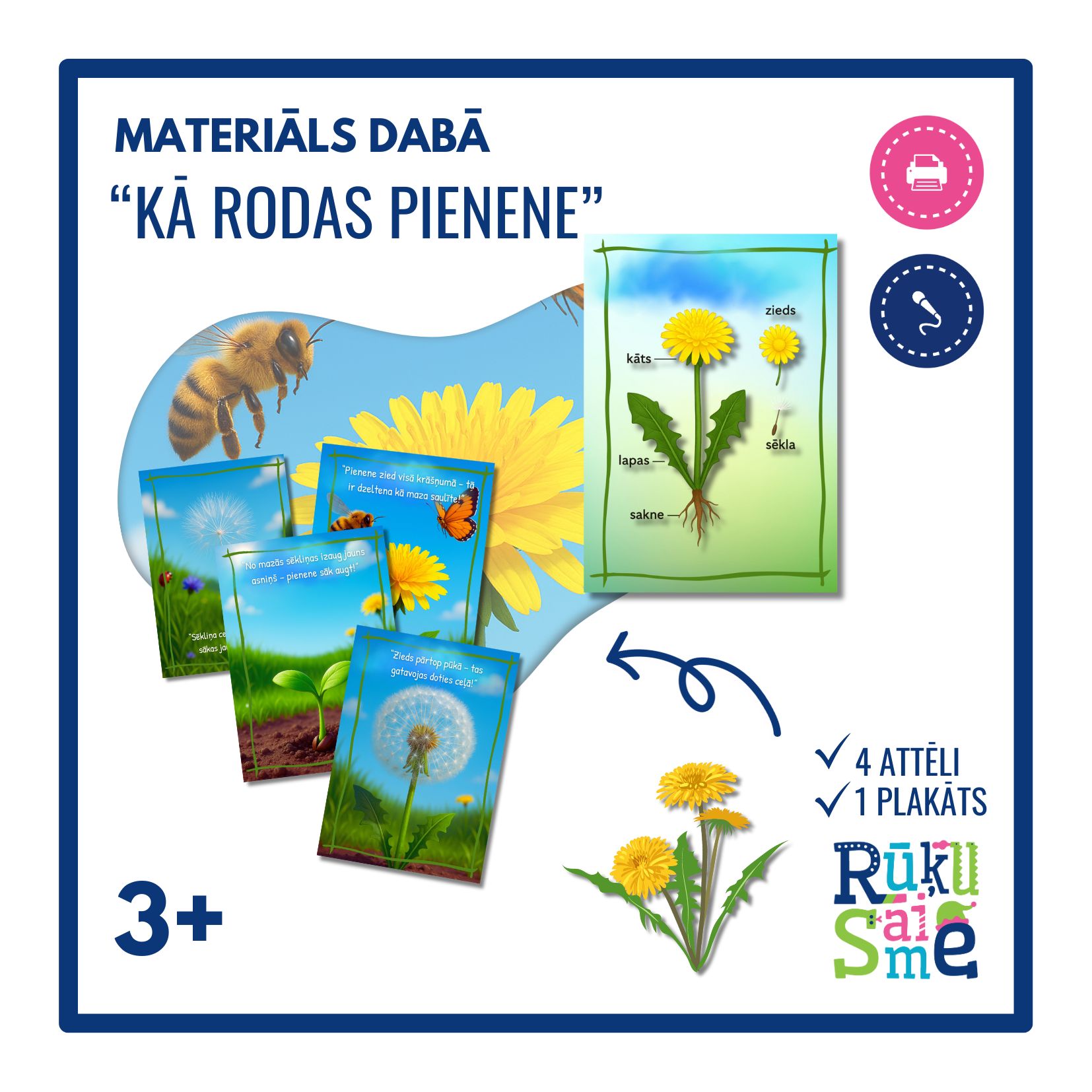Kā rodas pienene l Attēli bērniem 4-7 gadi