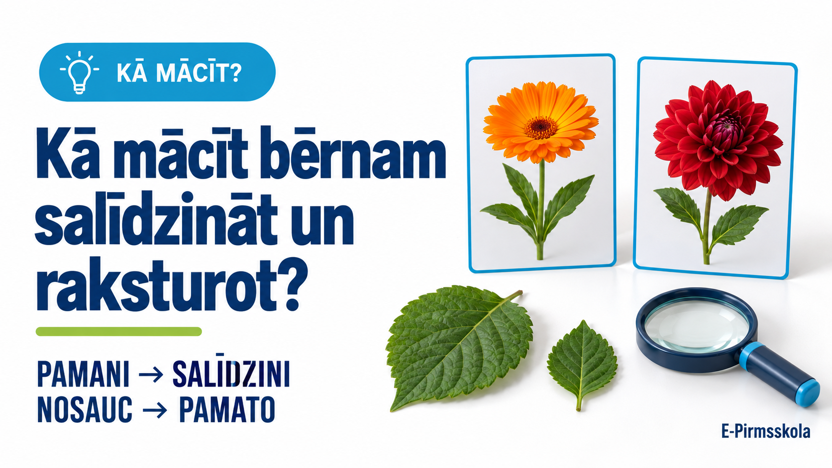 Kā mācīt bērnam salīdzināt un raksturot — ziedu kartītes, lapas un lupa